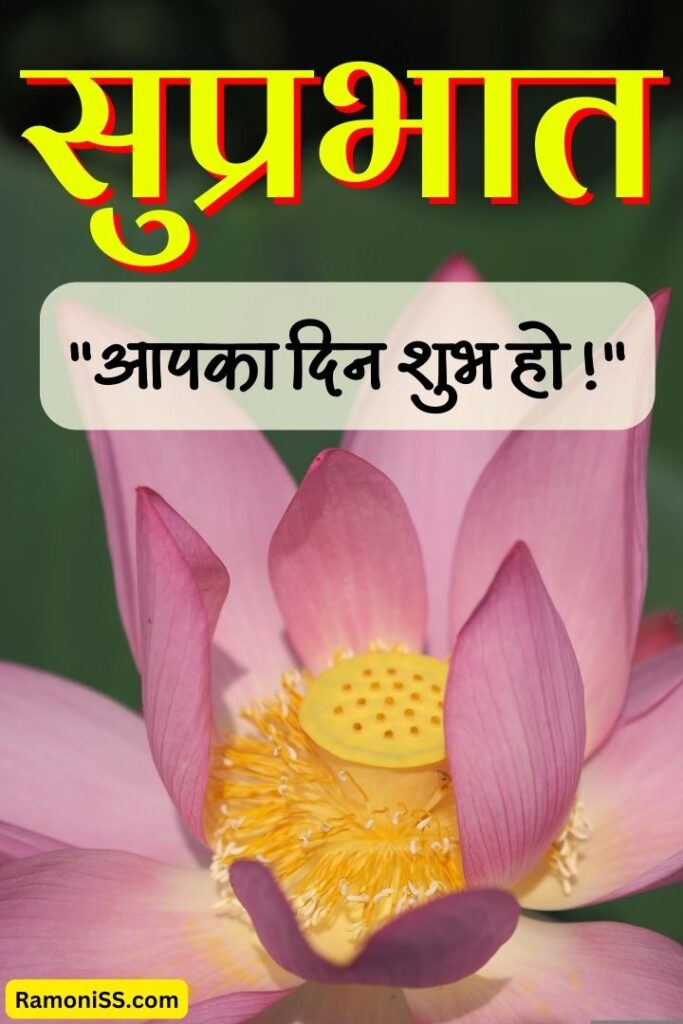 Pink flower good morning suvichar image in hindi