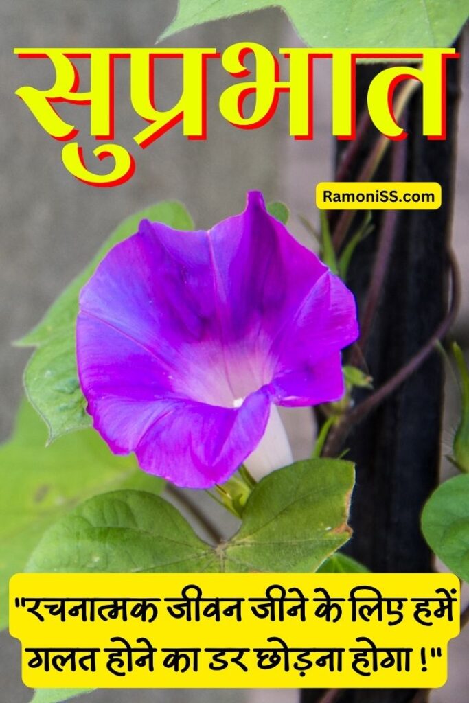 Purple flower good morning thoughts images in hindi