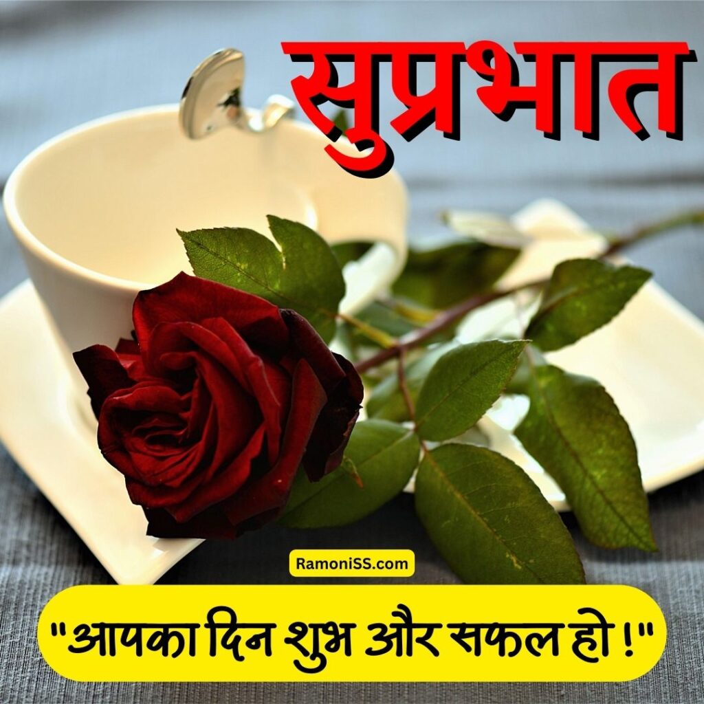 Rose good morning suprabhat image in hindi