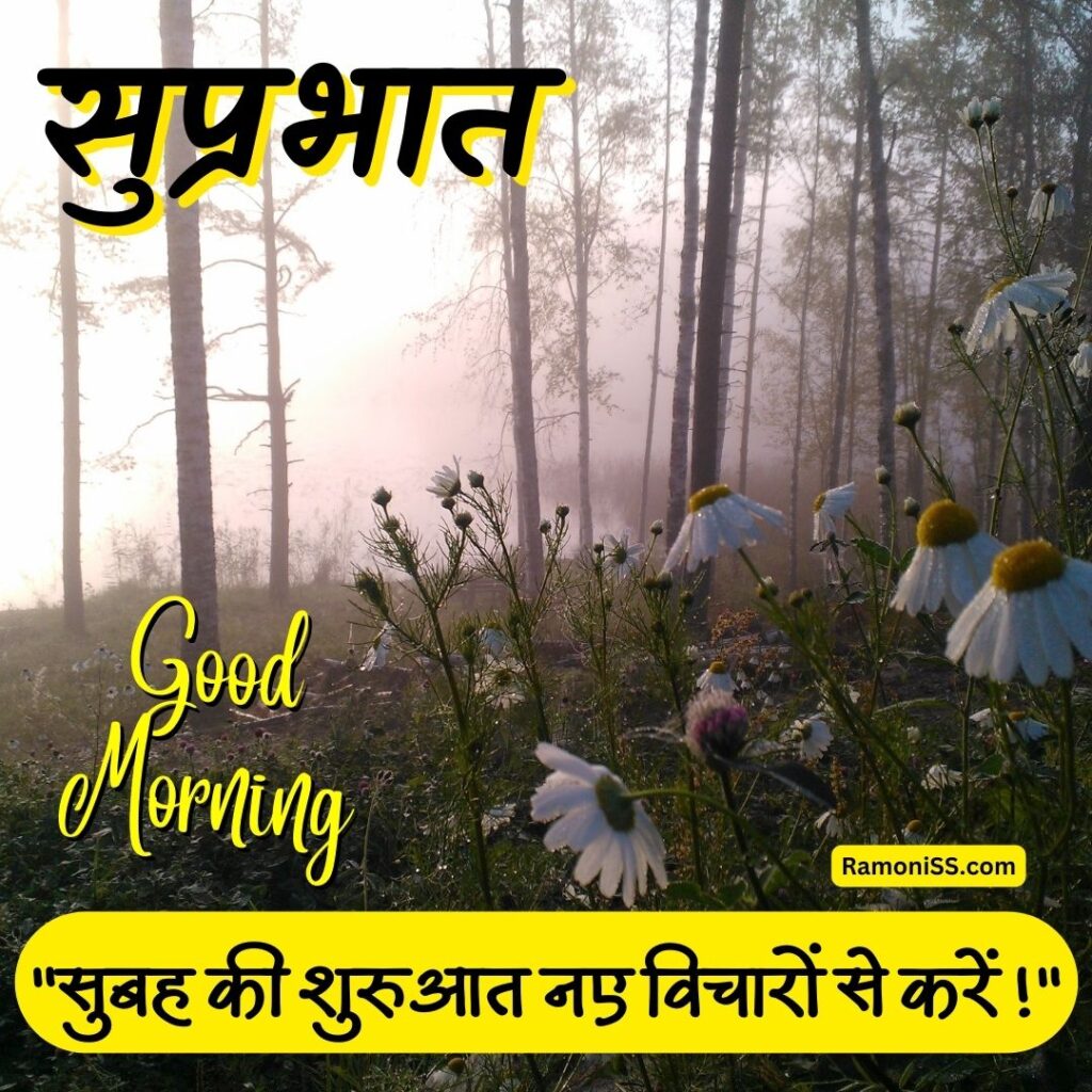 White flowers and sunrising forest view suprabhat in hindi