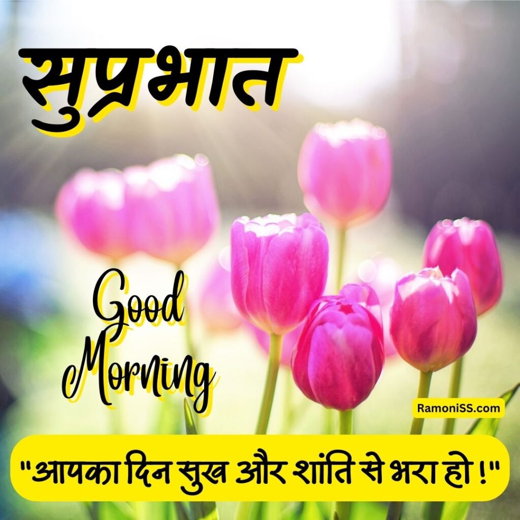 Pink flowers suprabhat quotes in hindi