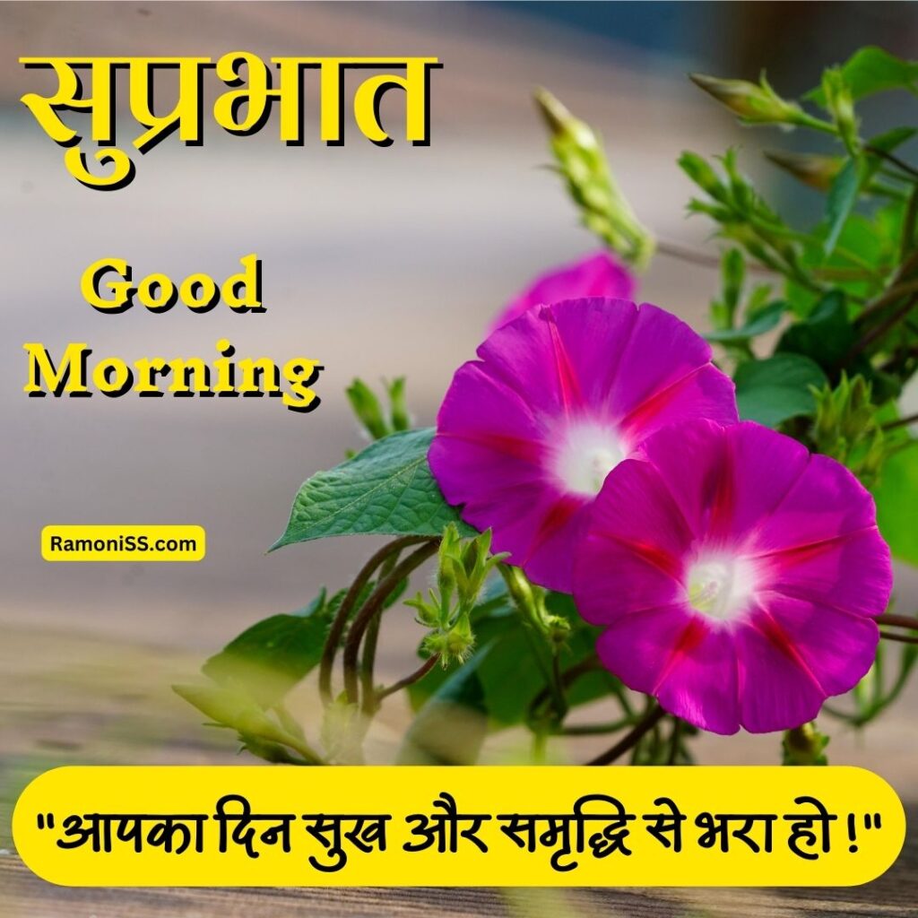 51+ good morning suprabhat quotes in hindi | गुड मॉर्निंग सुप्रभात