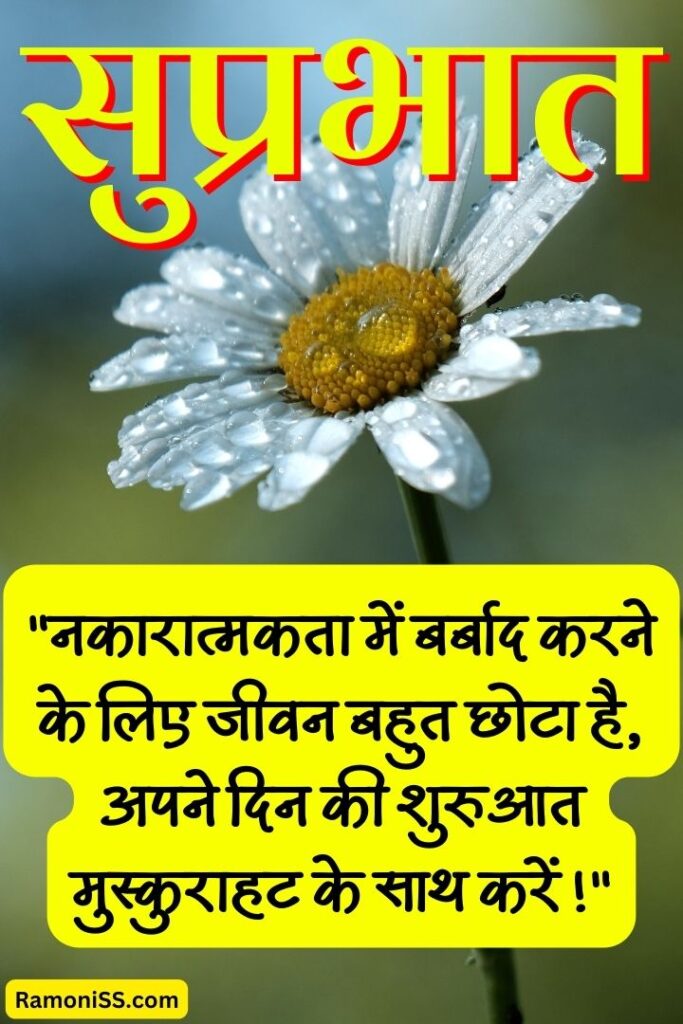 White sun flower suprabhat good morning suvichar image in hindi